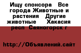 Ищу спонсора - Все города Животные и растения » Другие животные   . Хакасия респ.,Саяногорск г.